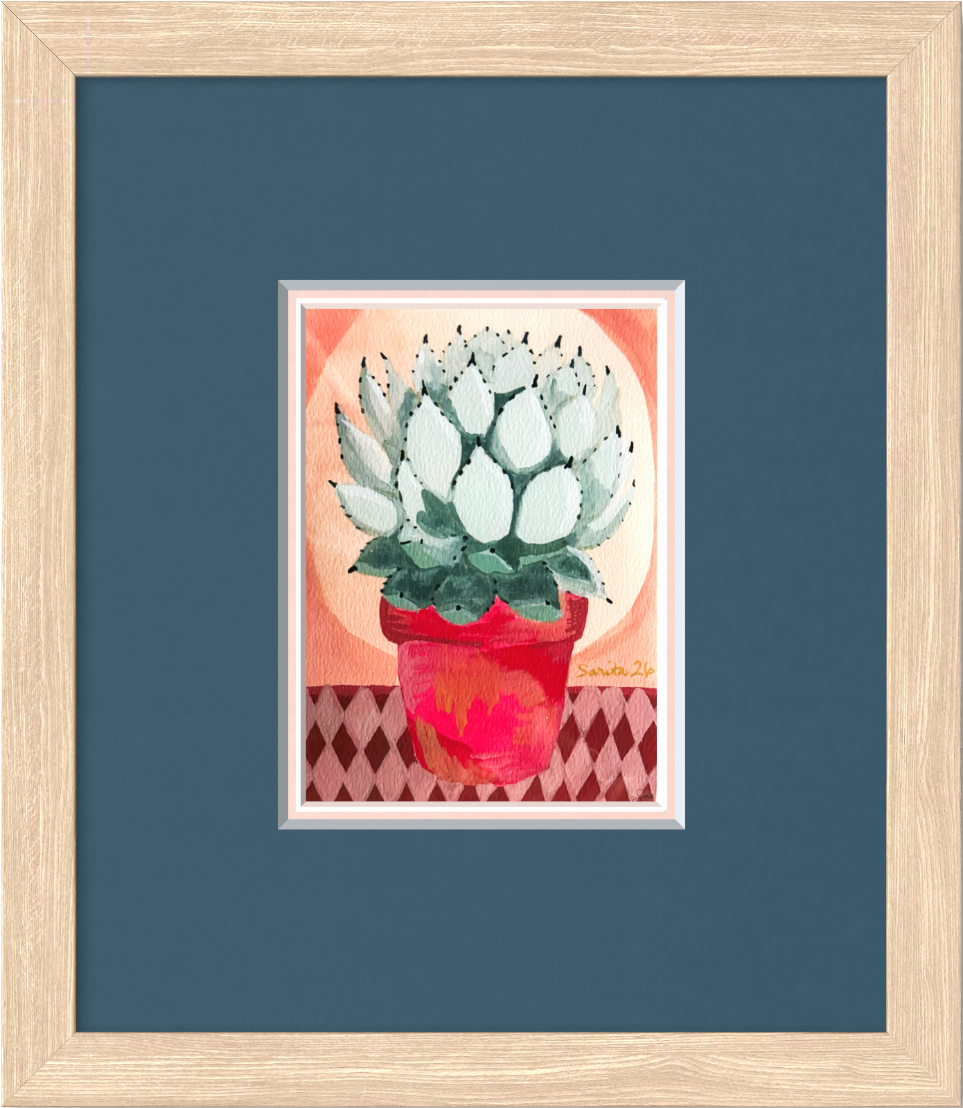 Blue Agave in Red Clay Pot