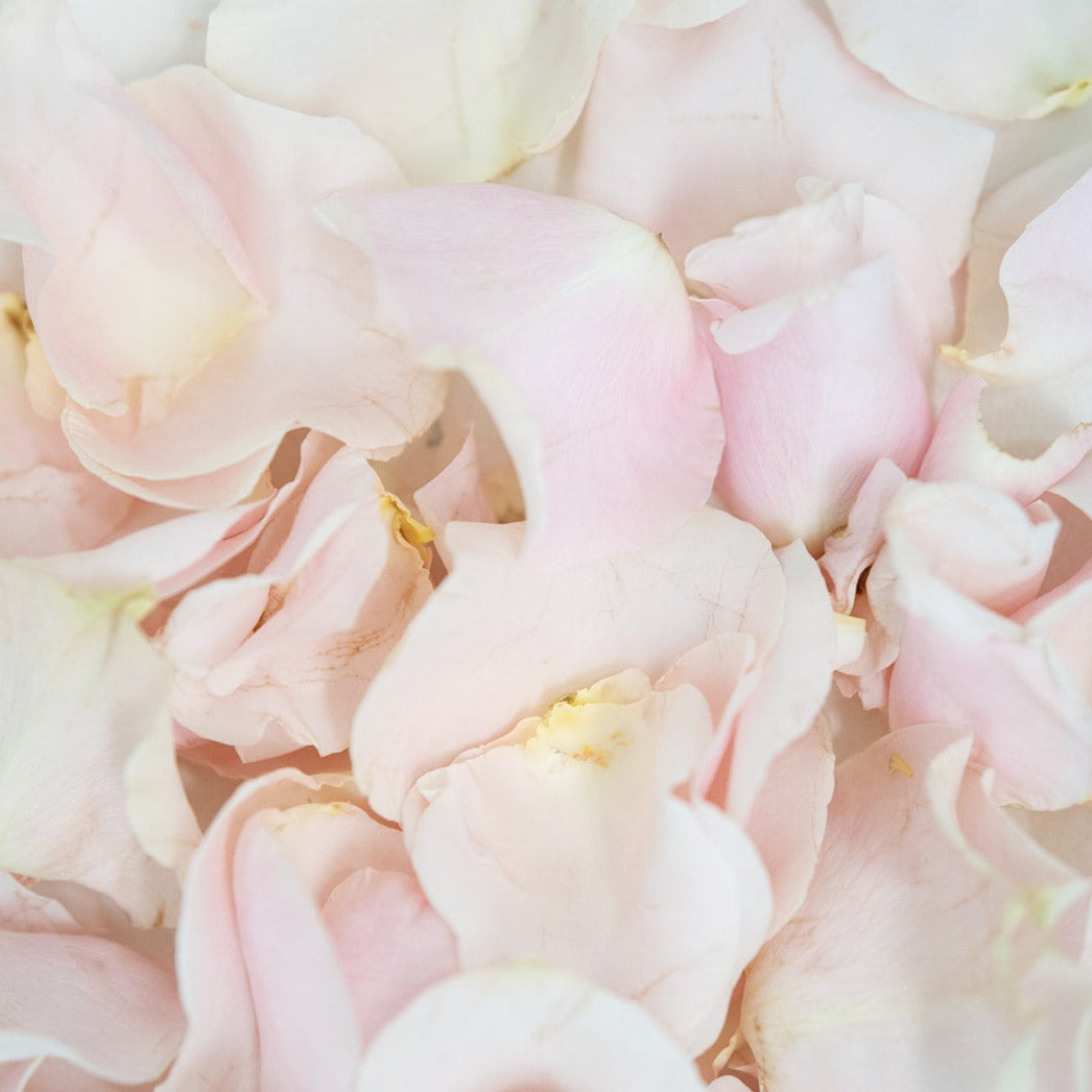 Petals flower co store