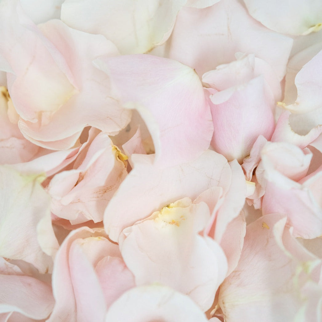 The Harper- Rose Petals